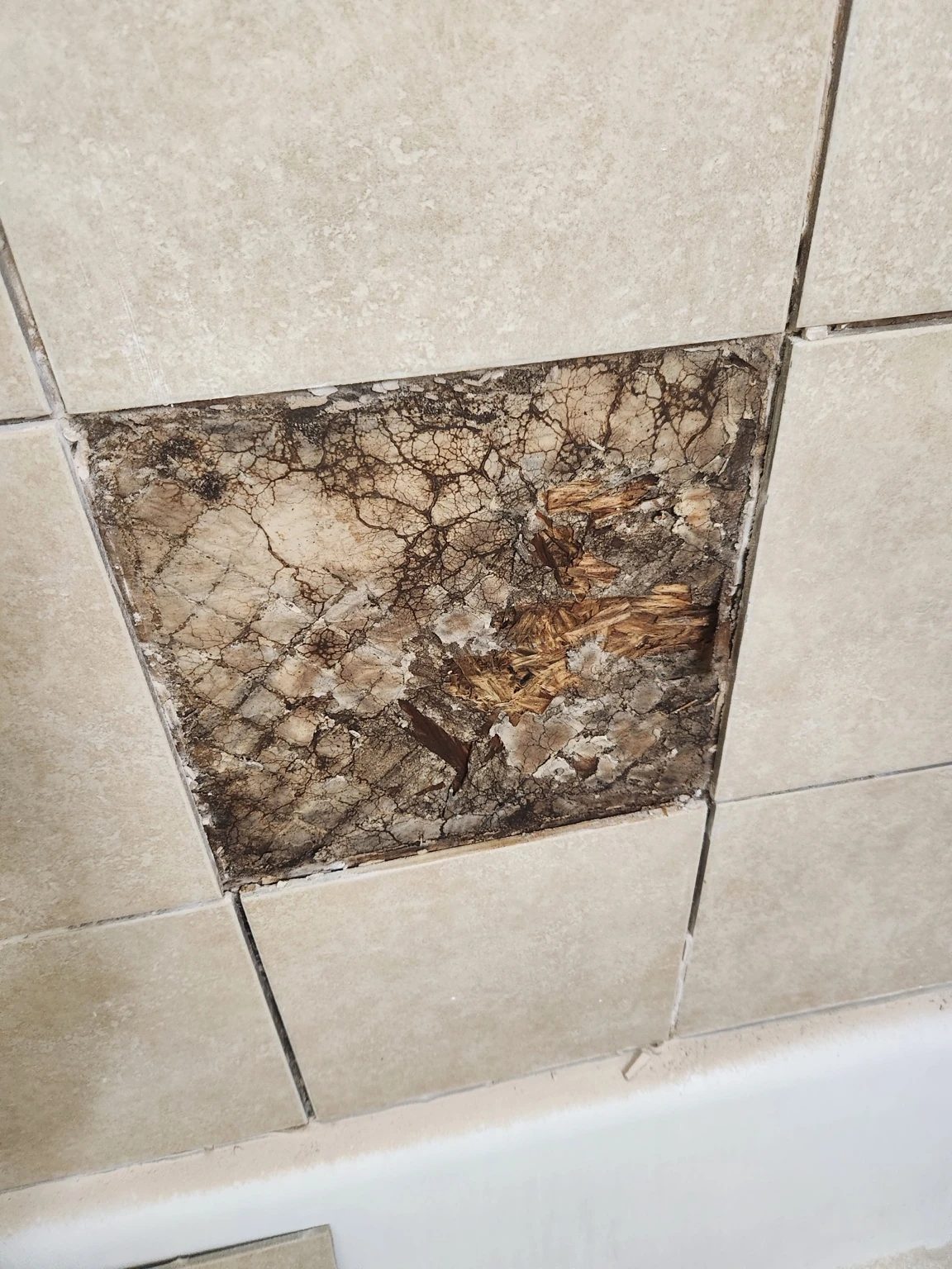 Before photograph of A bathroom rebuilt with purpose